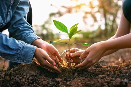 activite RSE domaine les 12 ponts<br />
 